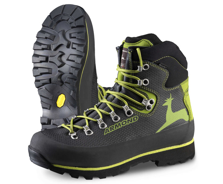 SCARPONE ARMOND  Piz Palù  2555 HV