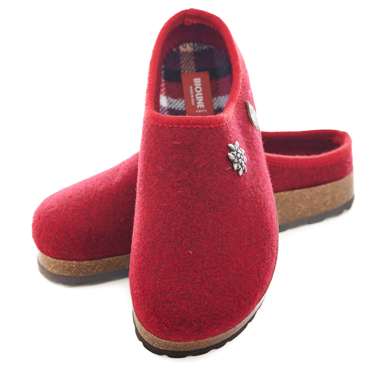 -SÜDTIROL- CIABATTA TIROLESE STELLA ALPINA BIOLINE -RIBES-