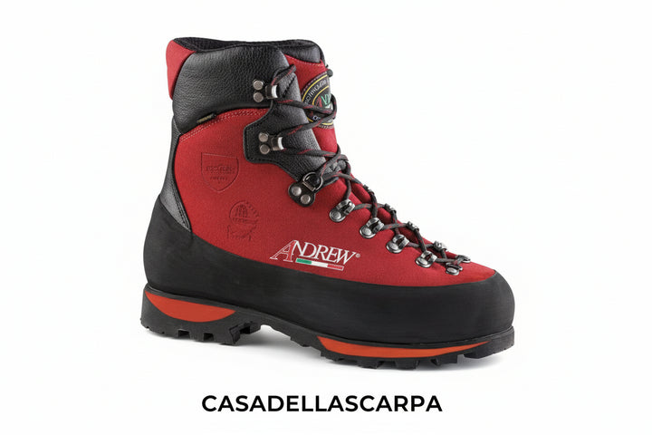 ANDREW ROZES WOOD LIVELLO 3