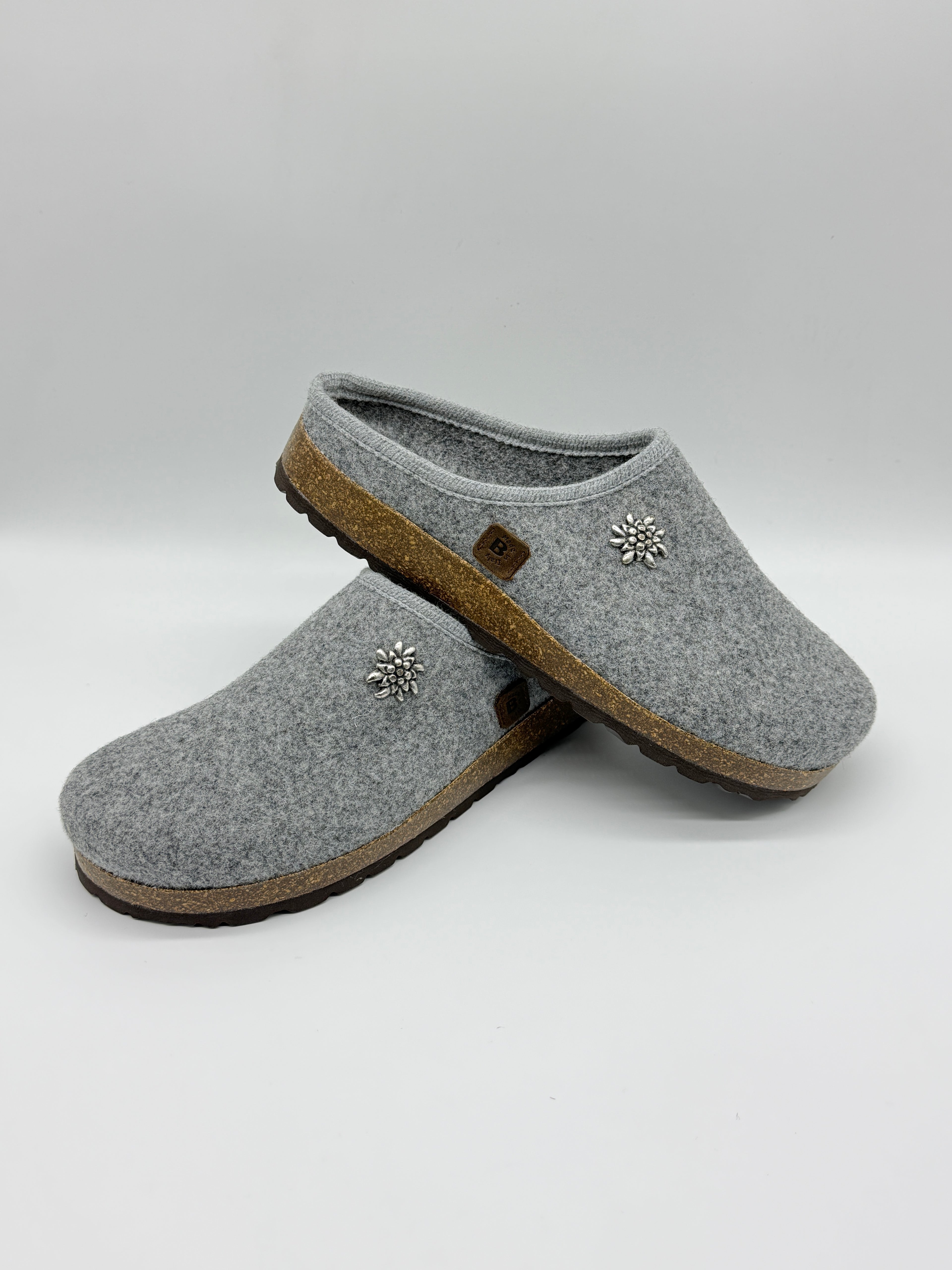 -SÜDTIROL- CIABATTA TIROLESE STELLA ALPINA BIOLINE -GRIGIO-