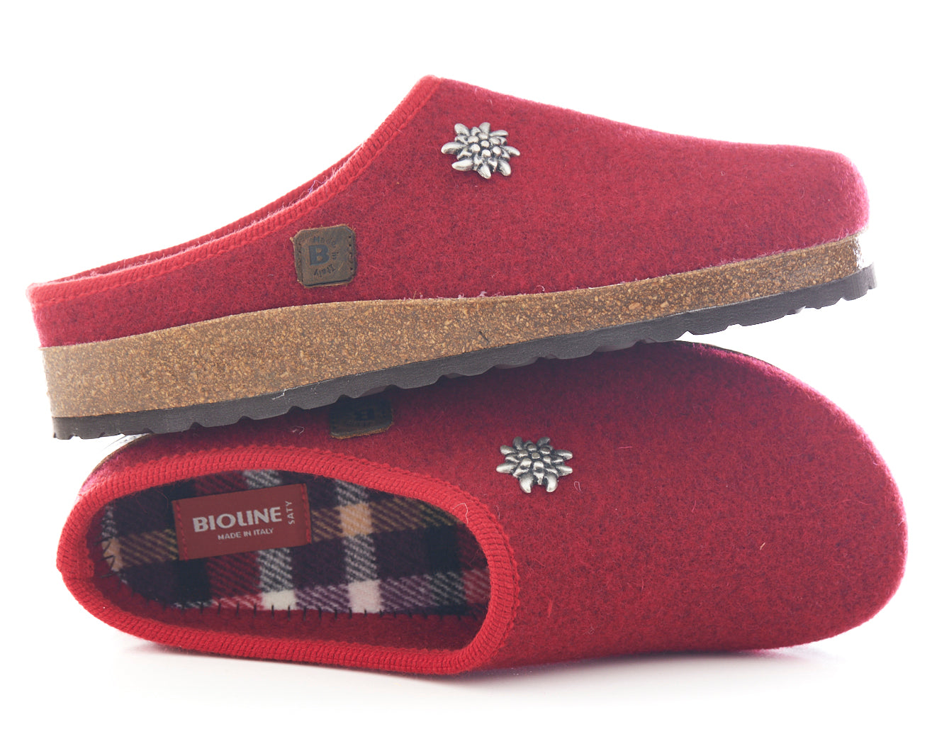 -SÜDTIROL- CIABATTA TIROLESE STELLA ALPINA BIOLINE -RIBES-