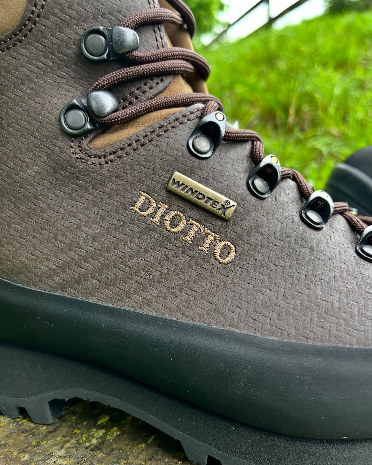 DIOTTO CORTINA S